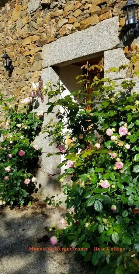 Rose cottage Pontrieux Esterno foto