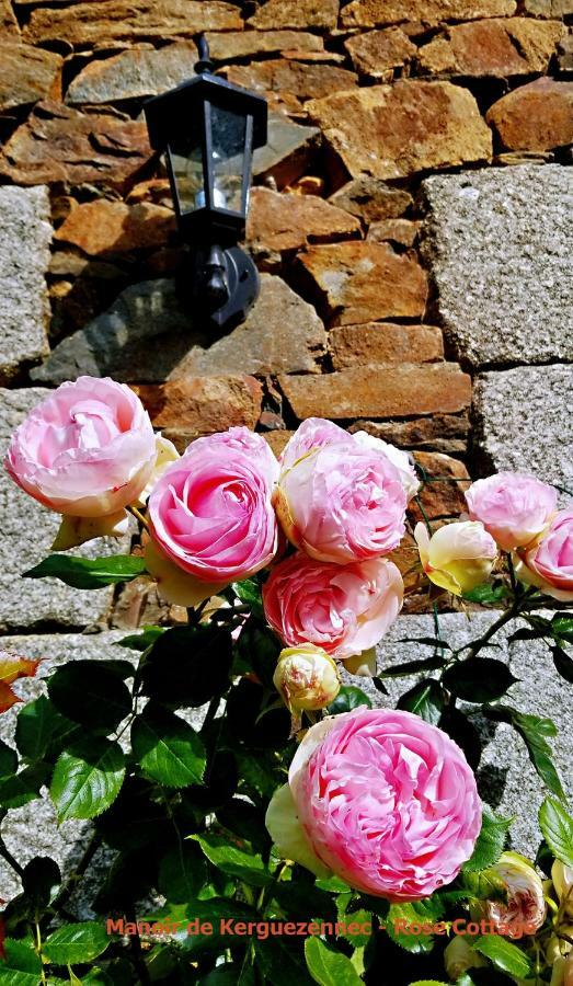 Rose cottage Pontrieux Esterno foto